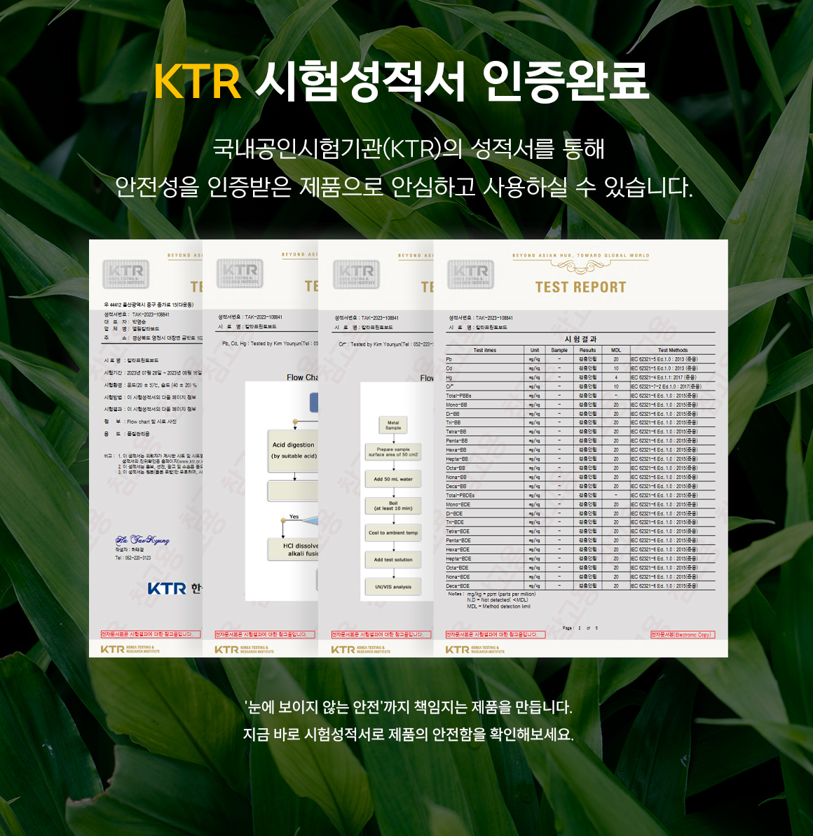 검사 결과지