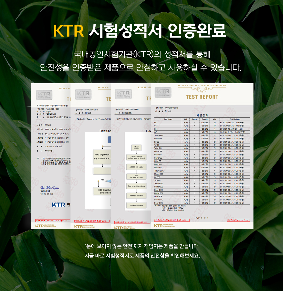 검사 결과지