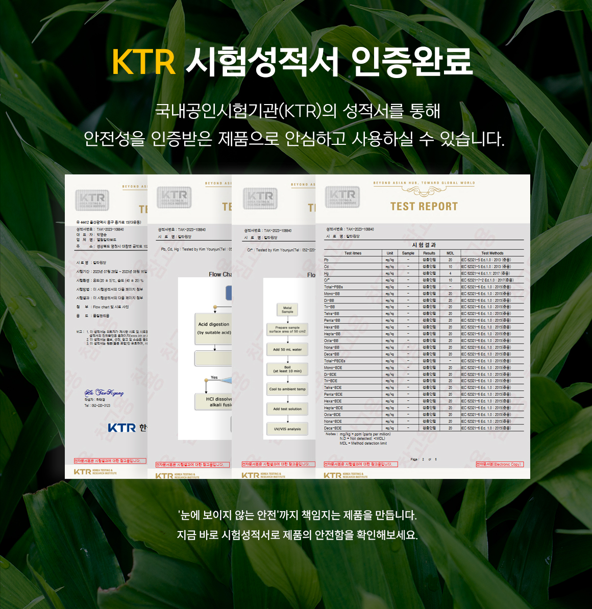 검사 결과지